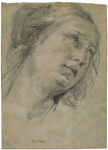 Egy fiatal nő feje felfelé néz, 1609 körül (fekete-vörös kréta fehér krétával, barna fektetett papíron) alkotó: Guido Reni