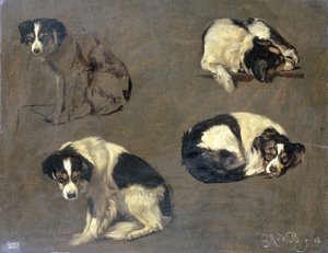 Négy tanulmány egy kutyáról alkotó: Guillaume Anne van der Brugghen