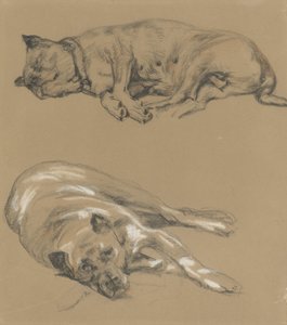 Twee studies van een liggende hond   1385795   hu       hungarian Successfully Translated  Original: Scene in a market (colour litho) Translat: Scene in a market (colour litho) 1324204 hu hungarian Successfully Translated Original: Vrede Translat: Vrede 12