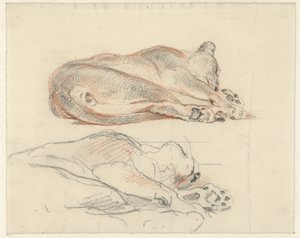 Két tanulmány egy fekvő tigrisről alkotó: Guillaume Anne van der Brugghen