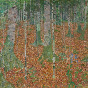 Nyírfa erdő alkotó: Gustav Klimt