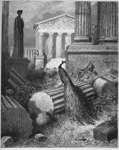 A páva panaszkodik Junóhoz – Jean de La Fontaine (Lafontaine) „Fables”-jából (1621-95) – metszet Gustave Dore (1832-83) nyomán – Magángyűjtemény