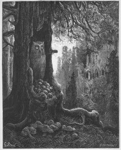 Az egerek és a bagoly - Jean de La Fontaine (Lafontaine) „Fables” (1621-95) meséiből - Gustave Dore (1832-83) metszet - Magángyűjtemény