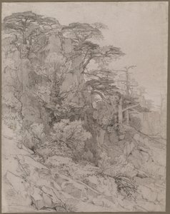 Egy sziklás domboldal fái alkotó: Gustave Achille Guillaumet