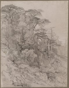 Egy sziklás domboldal fái, 1800-as évek vége. alkotó: Gustave Achille Guillaumet