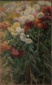 Krizantémok a Petit-Gennevilliers-i kertben alkotó: Gustave Caillebotte