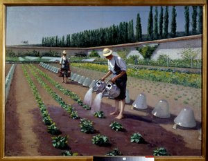 A kertészek. Két férfi az öntözőkannájával öntözi az ültetvényüket. Közelükben üvegharangok takarták a termést. Gustave Caillebotte (1848-1894) festménye alkotó: Gustave Caillebotte