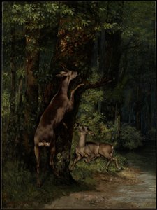 Szarvas az erdőben alkotó: Gustave Courbet