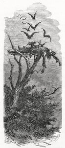 Kelta égbolt temetése, 1866 alkotó: Gustave Dore