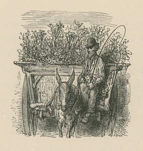 Egy férfi, aki egy növényekkel és virágokkal megrakott kocsit vezet. alkotó: Gustave Dore