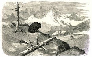 Gustave Dore metszete az "Voyage aux Pyrenees d