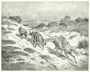 Gustave Dore Don Quijote: "A kötőféknél fogva vezette a szamarat, és a legközelebbi úton ment a főúthoz, amit kitalált" (metszet) alkotó: Gustave Dore