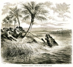Vadászat a Teoghe folyón, a Ngami mellékfolyóján. Víziló szigony. Gustave Dore metszete, amely a "Les aventures et chasse du voyageur Charles-Jean Anderson dans l