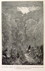 Amerikai erdő illusztrációja. a La legende de Croque-Mitaine című kötetből. alkotó: Gustave Dore
