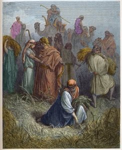 Ruth és Boáz (Booz) - Ruth Boaz (Boaz) mezőin dolgozik (Ruth és Boaz) - - metszet Gustave Dore (1832-1883) „The Bible illustree”-be - Metszet a „Dore Bibliából” alkotó: Gustave Dore