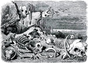 Szindbád a tengerész (Szindbád) - Az ezeregy (1001) éjszaka története - Gustave Dore illusztrációja - Maxwell kiadás 1865 - Hetedik és utolsó utazás: az elefántok temetője, ahol Szindbád visszaszerzi az elefántcsont védelmét. alkotó: Gustave Dore
