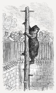 „A Medvegödör – Állatkert”, 1872. alkotó: Gustave Dore