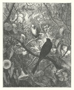 La Fontaine meséi: Philomel és Progne (metszet) alkotó: Gustave Dore
