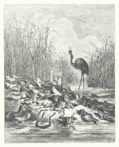 La Fontaine meséi: A békák, akik királyt kértek (metszet) alkotó: Gustave Dore