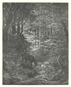 La Fontaine meséi: A szarvas, amint a patakban nézelődik (metszet) alkotó: Gustave Dore