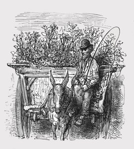 "The Flower Hawker", 1872. alkotó: Gustave Dore
