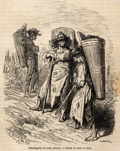 Xeres válogatói. Gustave Dore (1832-1883) rajza 1862-es spanyolországi utazásának illusztrálására Ch. Davillier. Gravírozás a „Le tour du monde”-ban, szerkesztette Edouard Charton alkotó: Gustave Dore