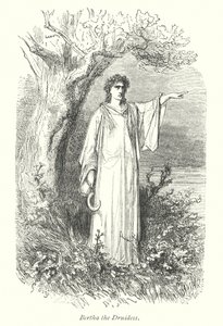 Windsor Forest (metszet) alkotó: Gustave Dore