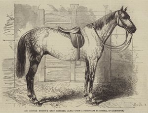 Sir George Browns szürke töltő, Alma alkotó: Gustave Janet
