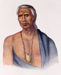Lap-Pa-Win-Soe, a delaware-i főnök, illusztrációja a „The Indian Tribes of North America, Vol.1”, Thomas L. McKenney és James Hall, pub. írta John Grant