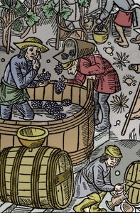 Szüret - szőlőszüret - Pásztornaptár - A hónapok munkája - október - Fametszet a Guy Marchant (Guido Mercator) által Troyes-ban nyomtatott 1496-os könyvből - Fametszet a "" Le grand Calendrier et compost des shepherds" -ben" - A betakarítás - és th alkotó: Guy Marchant