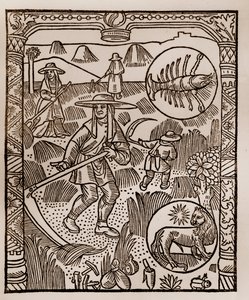 Pásztornaptár - A hónapok munkája - július - Fametszet a Guy Marchant (Guido Mercator) által Troyes-ban nyomtatott 1496-os könyvből - Hay, la coupe des hay - Gravírozás sur bois "" Le grand Calendrier et compost des shepherds"" - alkotó: Guy Marchant
