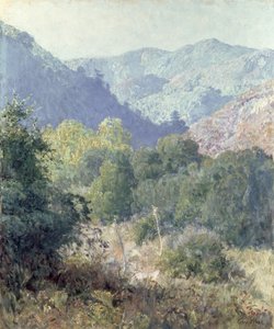 Kilátás a San Gabriel-hegységre