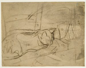 Macskatanulmányok (szén, papír) alkotó: Gwen John