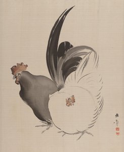 Kakas és Tyúk, 1887-92.