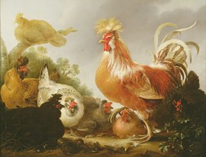 Kakas és tyúkok egy tájban, 1649 alkotó: Gysbert Hondecoeter