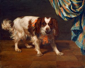 Egy King Charles spániel (olaj a panelen) alkotó: Gysbert van de Kuyl