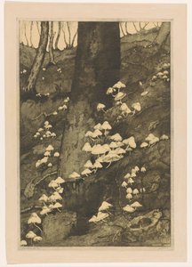 Gomba az erdőben Ősz (eredeti cím) alkotó: H.C. Spruit (signed by artist)