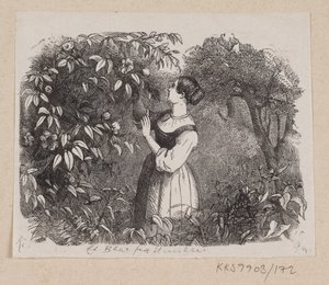 Illusztráció az "A Leaf from Heaven" című filmhez, H.C. Andersen, "Tündérmesék és történetek", 2. kötet