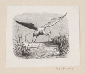 Illusztráció a "The Storks"-hoz H.C. Andersen, "Tündérmesék és történetek", 1. kötet alkotó: H.P. Hansen