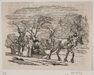 Szánkózás rénszarvasokkal alkotó: H. C. Henneberg