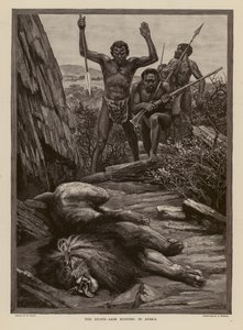 Oroszlánvadászat Afrikában (metszet) alkotó: H. Dixon