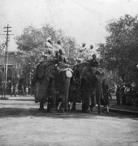 Egy pandzsábi hercegnő elefánton lovagolva egy körmenetben, Delhi, India, 1900-as évek.