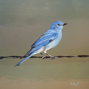 Chipper, 2025 körül (olaj, masonit)