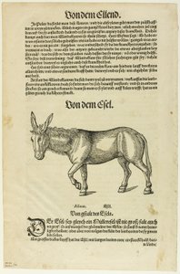 Illusztráció a "Thierbuch"-ból, 42. tábla a "Woodcuts from Books of the XVI Century" című kötetből. alkotó: Hans Asper