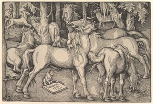 Hét ló csoportja, 1534. alkotó: Hans Baldung