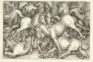 Hét harci lóból álló csoport alkotó: Hans Baldung Grien
