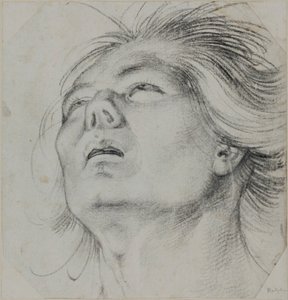 Fiatal férfi feje, alulról nézve alkotó: Hans Baldung Grien