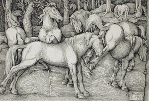 Mén és rúgó kanca vadlovak csoportjában az erdőben alkotó: Hans Baldung Grien