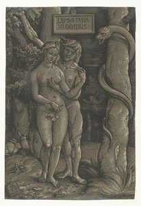 Ádám és Éva megkísértése a paradicsomban Az ember bukása Lapsvs Hvmani Generis (cím az objektumon) alkotó: Hans Baldung Grien