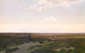 Kilátás Pårup Moors közelében Silkeborg, Jütland alkotó: Hans Friis